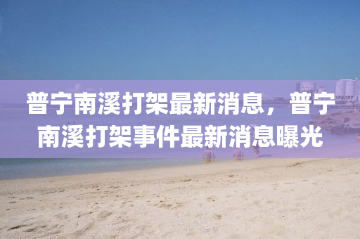 普宁南溪打架最新消息,普宁南溪打架事件最新消息曝光中山市多米克自动化设备有限公司