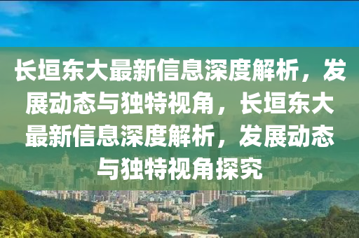长垣东大最新信息深度解析,发展动态与独特视角,长垣东大最新信息深度解析,发展动态与独特视角探究中山市多米克自动化设备有限公司