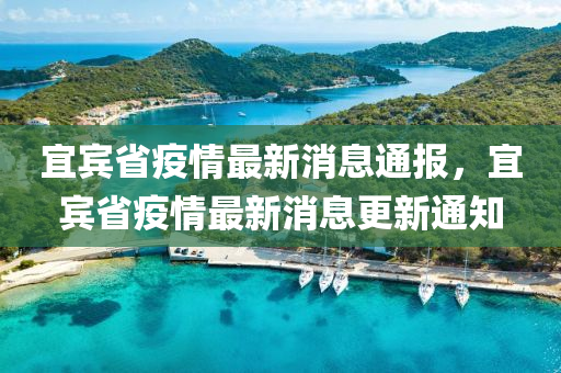 宜宾省疫情最新消息通报,宜宾省疫情最新消息更新通知中山市多米克自动化设备有限公司