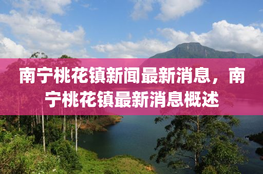 南宁桃花镇新闻最新消息,南宁桃花镇最新消息概述中山市多米克自动化设备有限公司