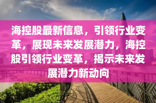 海控股最新信息,引领行业变革,展现未来发展潜力,海控股引领行业变革,揭示未来发展潜力新动向中山市多米克自动化设备有限公司