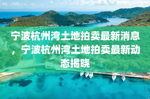 宁波杭州湾土地拍卖最新消息，宁波杭州湾土地拍卖最新动态揭晓