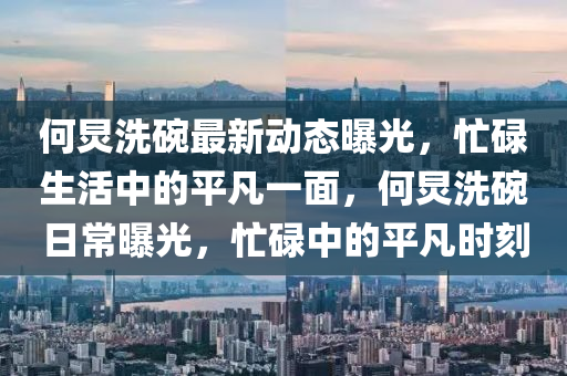 何炅洗碗最新动态曝光,忙碌生活中的平凡一面,何炅洗碗日常曝光,忙碌中的平凡时刻