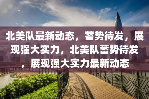 北美队最新动态,蓄势待发,展现强大实力,北美队蓄势待发,展现强大实力最新动态